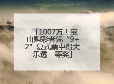 1007万！宝山购彩者凭“9+2”复式票中得大乐透一等奖