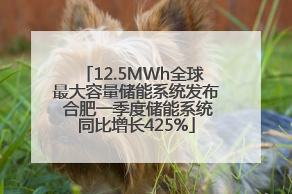 12.5MWh全球最大容量储能系统发布 合肥一季度储能系统同比增长425%