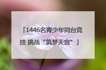 1446名青少年同台竞技 挑战“筑梦天宫”