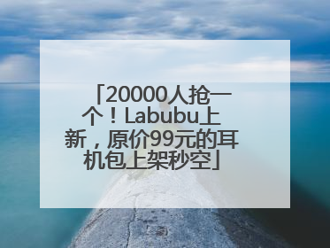 20000人抢一个！Labubu上新，原价99元的耳机包上架秒空