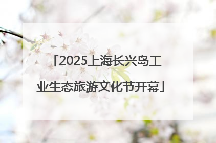 2025上海长兴岛工业生态旅游文化节开幕