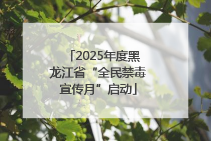 2025年度黑龙江省“全民禁毒宣传月”启动