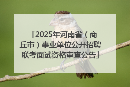 2025年河南省（商丘市）事业单位公开招聘联考面试资格审查公告