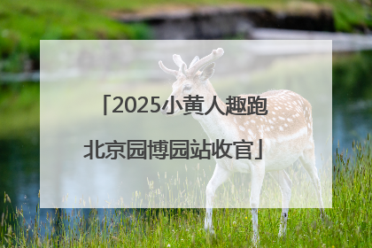 2025小黄人趣跑北京园博园站收官
