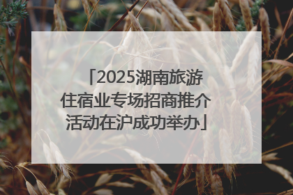 2025湖南旅游住宿业专场招商推介活动在沪成功举办