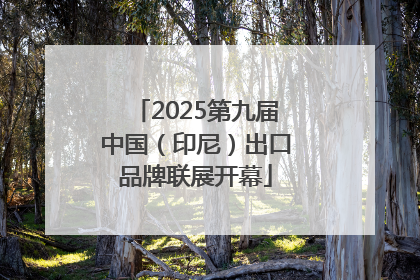 2025第九届中国（印尼）出口品牌联展开幕