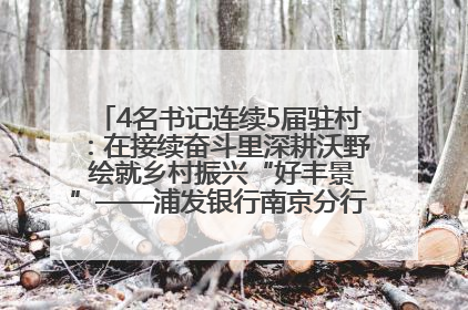 4名书记连续5届驻村：在接续奋斗里深耕沃野 绘就乡村振兴“好丰景”——浦发银行南京分行助力脱贫攻坚、帮促乡村振兴记事（二）