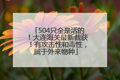 504只全是活的！大连海关最新截获！有攻击性和毒性，属于外来物种