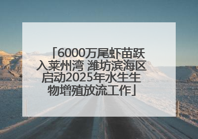 6000万尾虾苗跃入莱州湾 潍坊滨海区启动2025年水生生物增殖放流工作