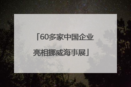 60多家中国企业亮相挪威海事展