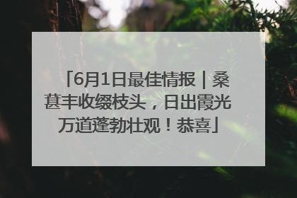 6月1日最佳情报｜桑葚丰收缀枝头，日出霞光万道蓬勃壮观！恭喜