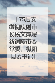 75后安徽铜陵副市长杨文萍履新铜陵市委常委、枞阳县委书记