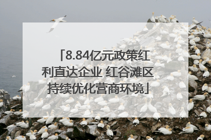 8.84亿元政策红利直达企业 红谷滩区持续优化营商环境