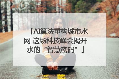 AI算法重构城市水网 这场科技峰会揭开水的“智慧密码”