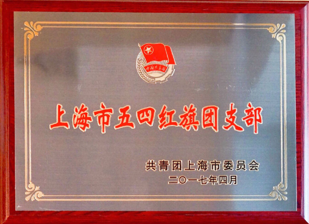红旗团支部奖牌.jpg